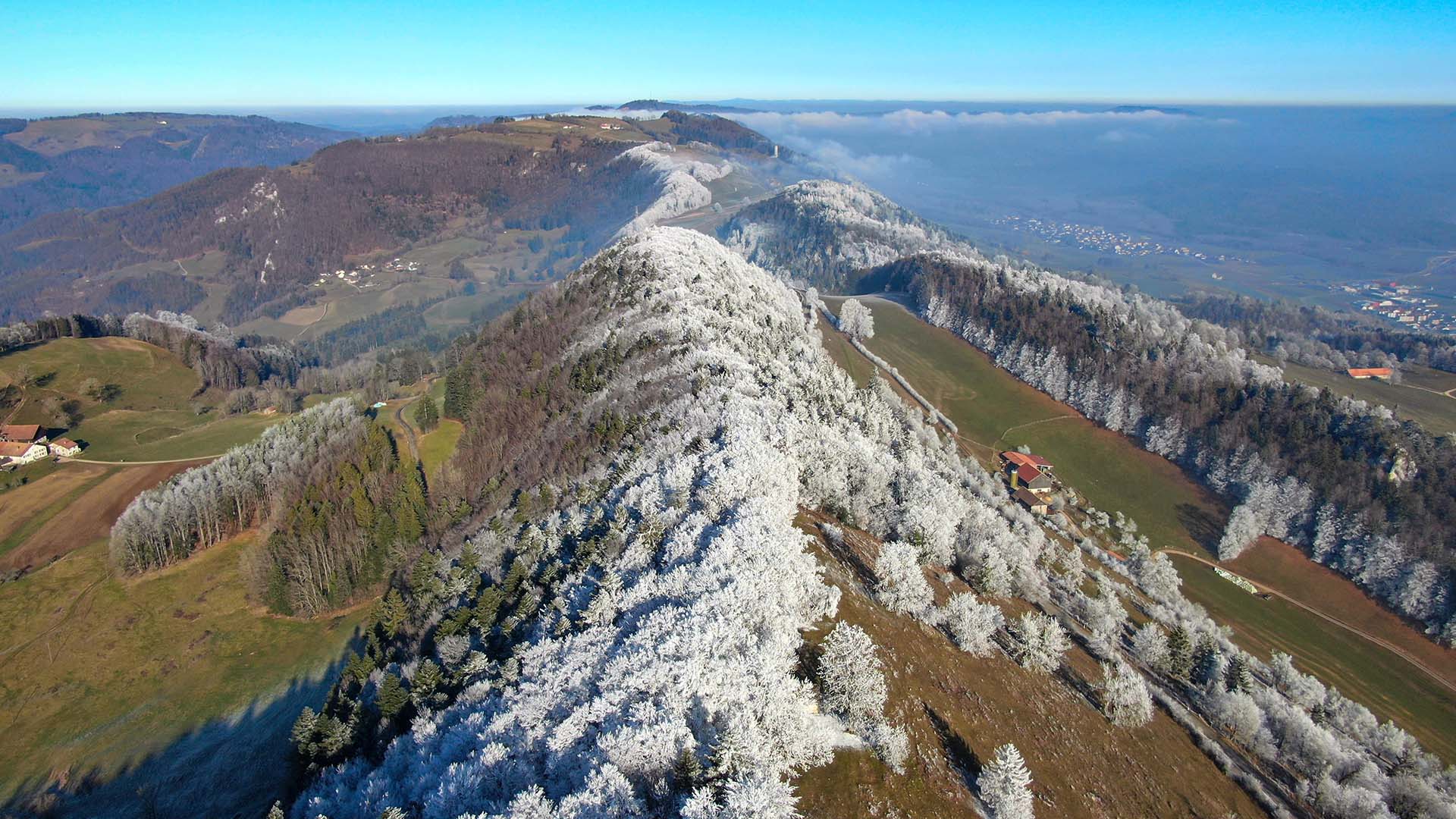 Vue aérienne des montagnes de l'Appenzell avec pics enneigés, forêts et vallées verdoyantes en Suisse